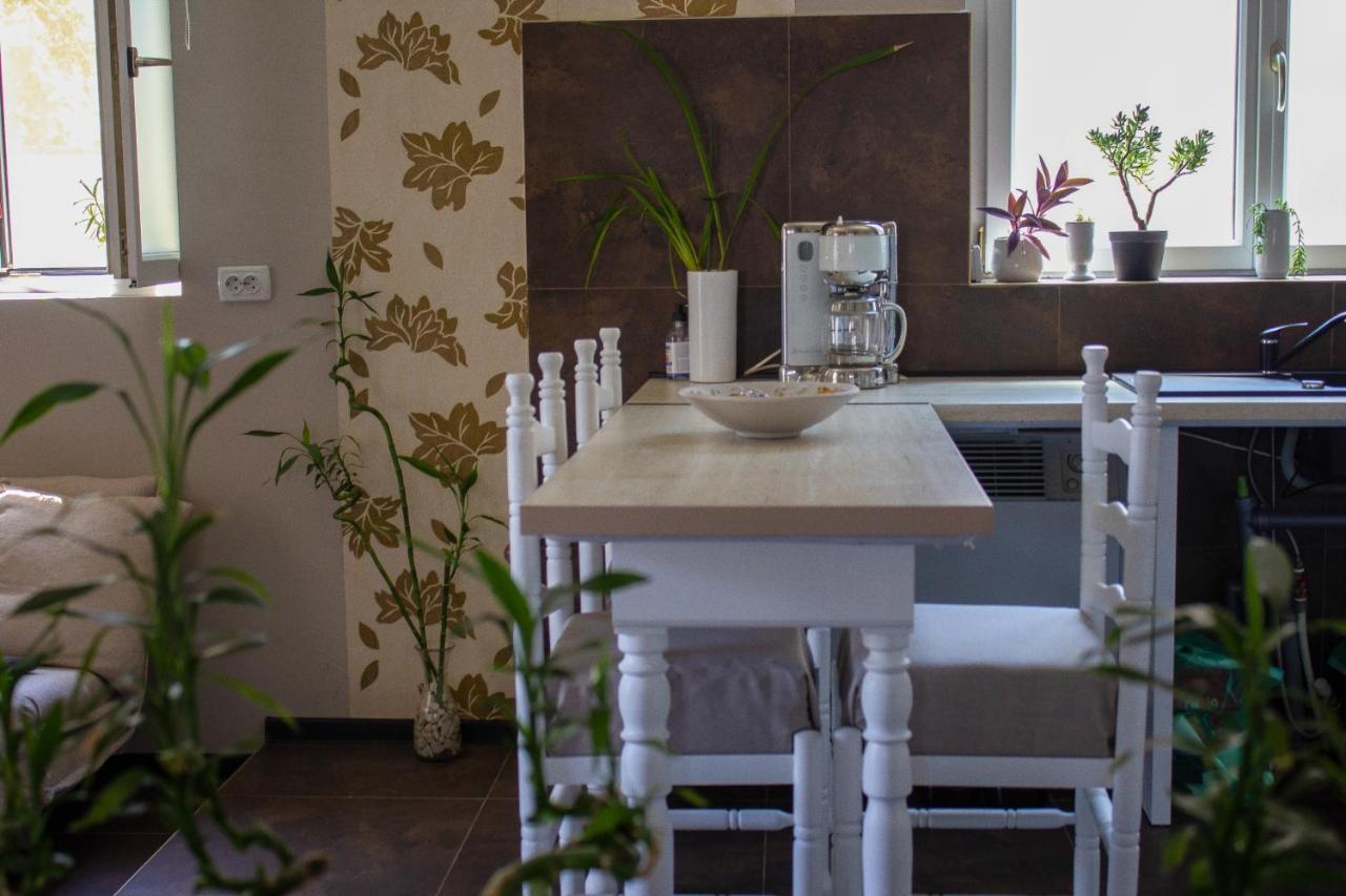Yox Apartment 1 Oradea Buitenkant foto